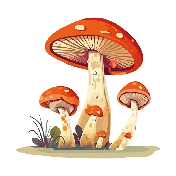 白い上に秋の森の真菌のデザイン — ストックベクタ