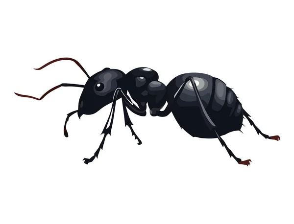 Pequeño Diseño Hormigas Sobre Blanco — Vector de stock