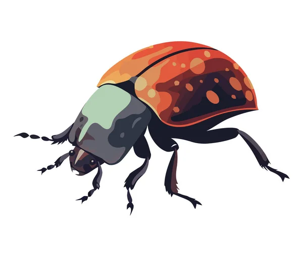 Pequeno Besouro Escaravelho Sobre Branco — Vetor de Stock