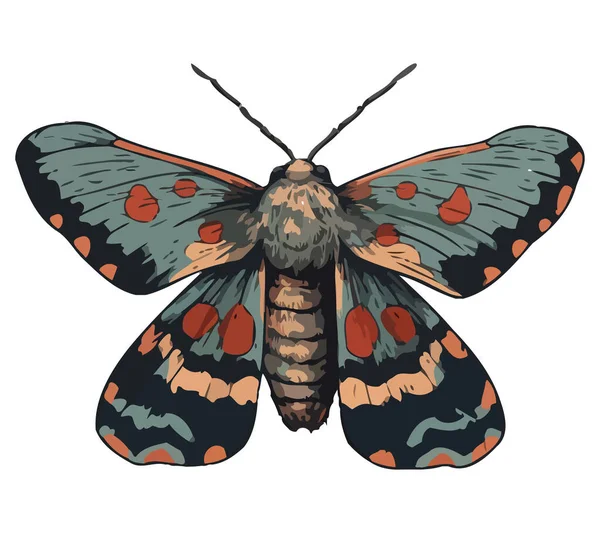 Schmetterling Mit Bunten Flügeln Über Weiß — Stockvektor