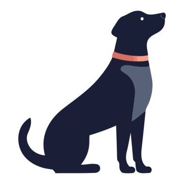 Beyaz üzerinde oturan sevimli köpek.