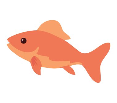 Beyaz yerine Japon balığı yüzme tasarımı