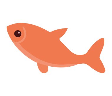 beyaz üzerinde yüzen süs balıkları