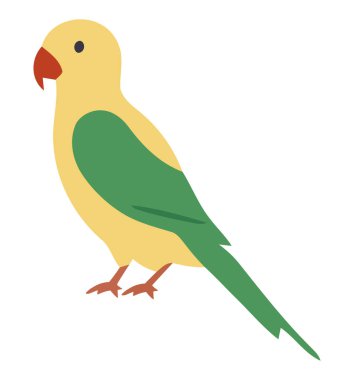 Beyazın üzerinde renkli tropikal kuş