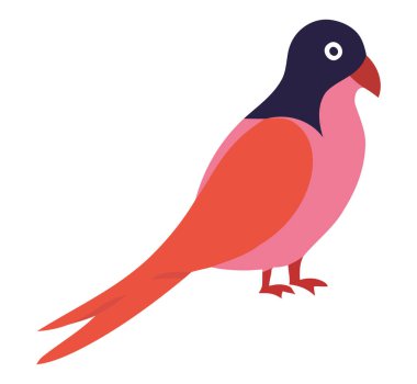 Beyaz üzerine tünemiş renkli ispinoz kuşu