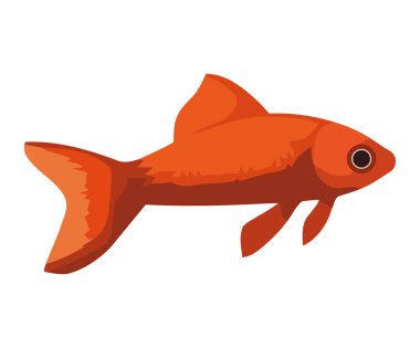 Beyaz üzerinde yüzen şirin balıklar.