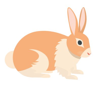 Beyaz üzerinde oturan sevimli tavşan.