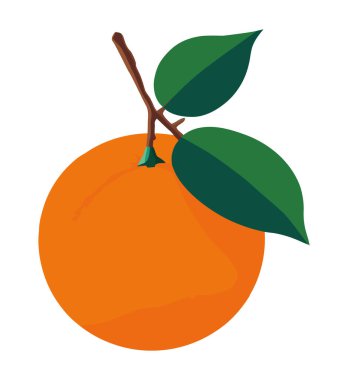 Olgun turunçgil rengi beyaz yerine portakal rengi.