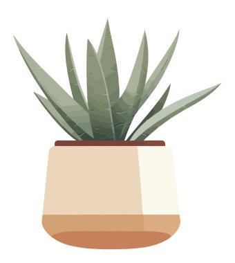 Taze yeşil yapraklar çömlek vazosunu beyazın üzerine süslüyor.