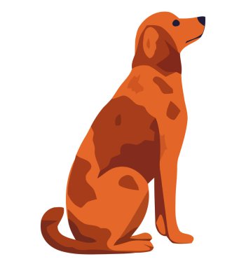 Beyaz üzerinde oturan sevimli köpek.