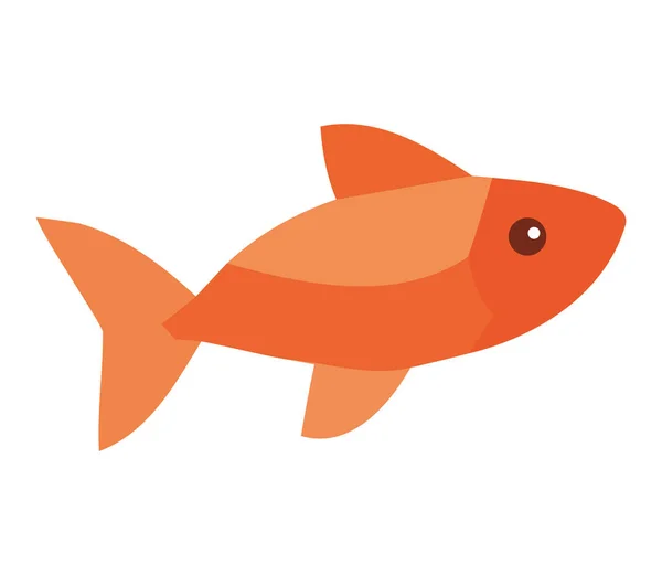 Colorful Fish Swim White — Stock Vector