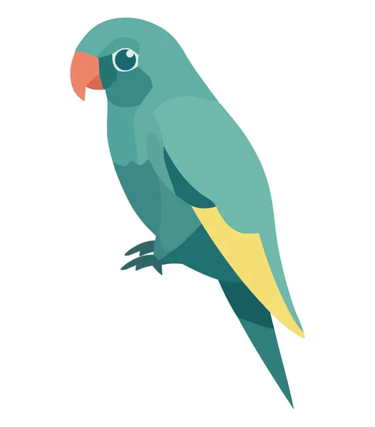 Kolorowe Macaw Latające Nad Białym — Wektor stockowy