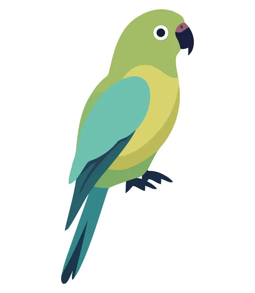 Colorful Macaw Perched White — Stock Vector