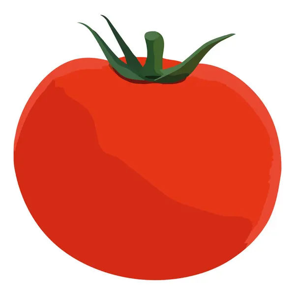 Reife Saftige Tomate Über Weiße — Stockvektor