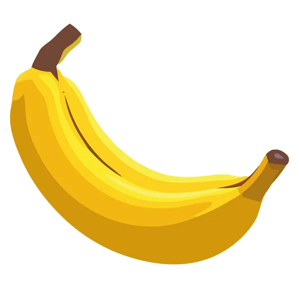 Organický Banán Pro Vegetariánskou Stravu Nad Bílou — Stockový vektor