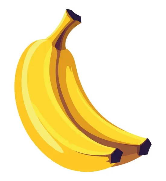 Zdravý Zralý Banánový Vektor Přes Bílou — Stockový vektor