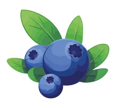 Sulu yaban mersini tasarımı beyaz üzerine