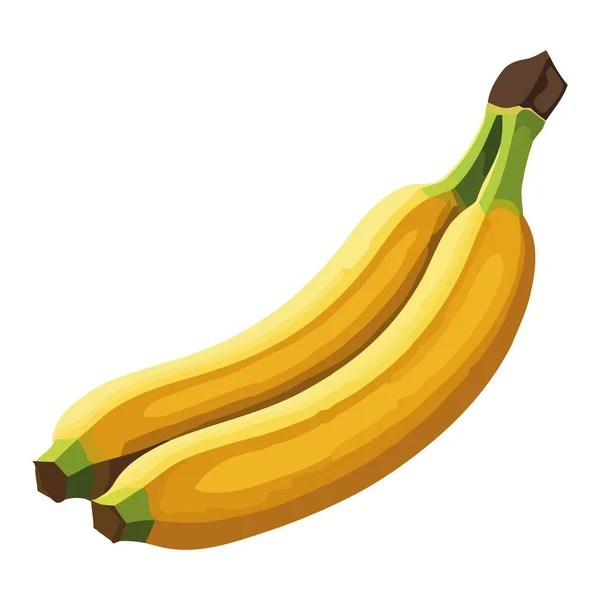 Čerstvé Organické Banány Vektor Design Nad Bílou — Stockový vektor