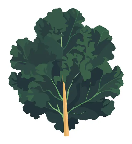 Zielone Drzewo Projekt Ilustracji Nad Białym — Wektor stockowy
