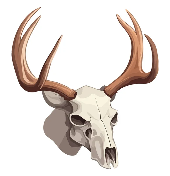 Animal Skull Decoration White — Stock Vector