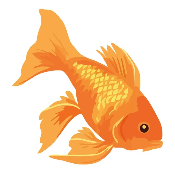 Orangefarbener Goldfisch Schwimmt Über Weiß — Stockvektor