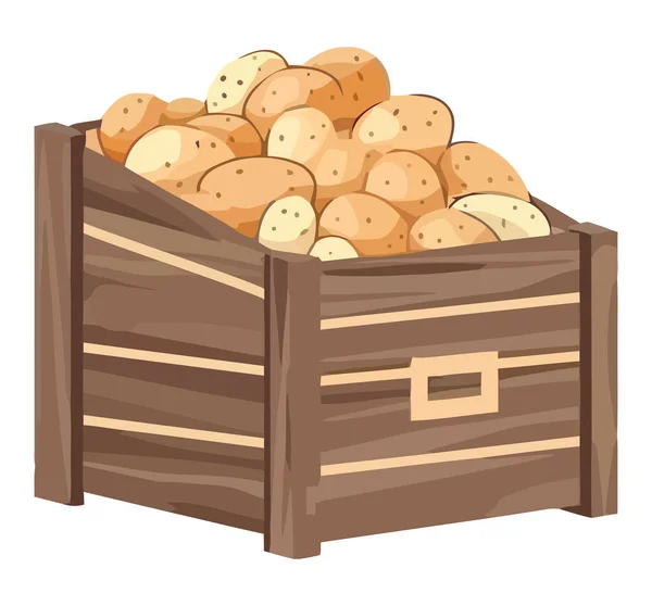 Batatas Orgânicas Frescas Cesta Madeira Sobre Branco —  Vetores de Stock