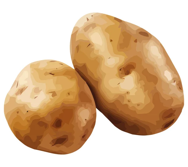 Beyaz Yerine Taze Organik Patates Tasarımı — Stok Vektör