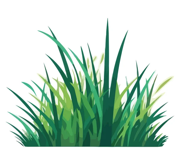 ホワイト上に新鮮な緑の牧草 — ストックベクタ