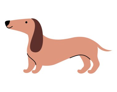 dachshund köpek tasarım vektörü izole edildi