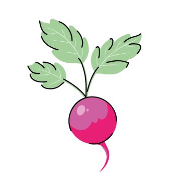 mor turp tasarım vektörü izole edildi