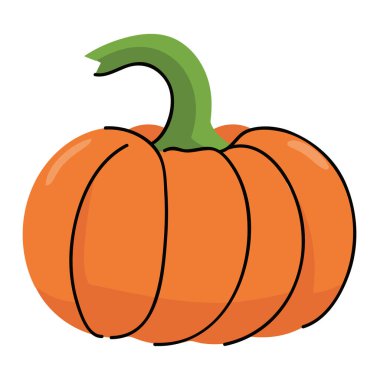 kök vektörü izole edilmiş turuncu balkabağı