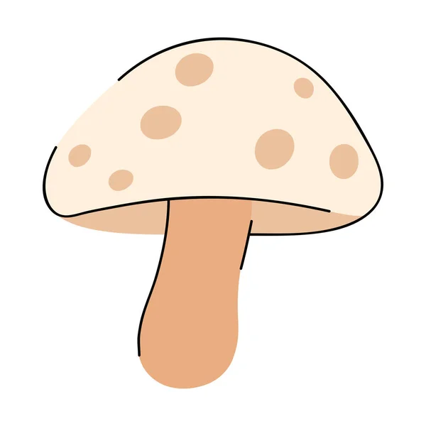 Forest Mushroom Illustration Vector Isolated — Stock Vector