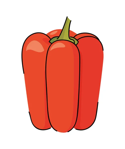 Rojo Pimienta Ilustración Vector Aislado — Vector de stock