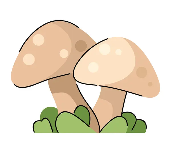 Forest Mushrooms Design Vector Isolated — Stock Vector