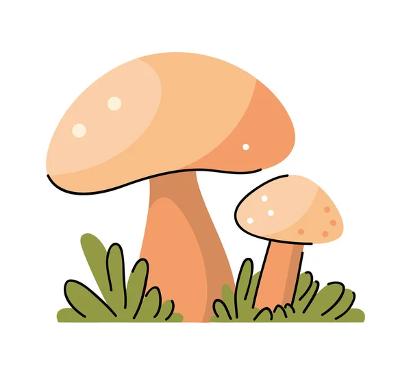 Bonito Cogumelos Ilustração Vetor Isolado — Vetor de Stock