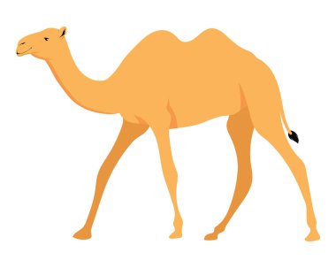 deve hayvan tasarımı illüstrasyon vektörü