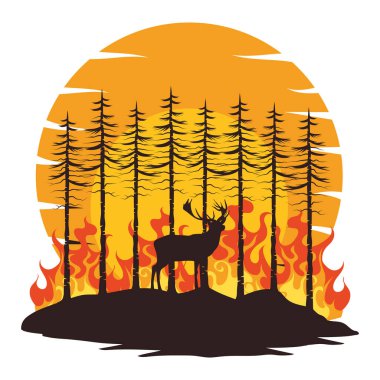 Orman yangınları ve hayvan örnekleri