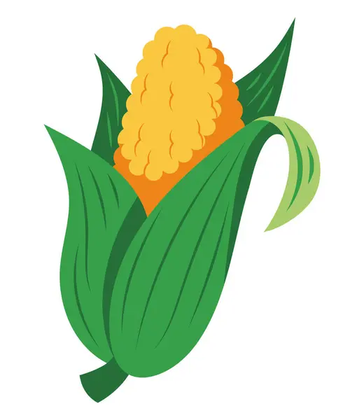 Festa Junina Corn Illustration Design Stok Vektor