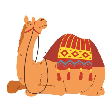 Hindistan 'da bikaner deve festivali izole edildi