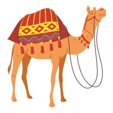 Hint bikaner deve festivali izole edildi