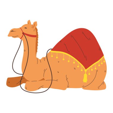 bikaner 'deki deve festivali izole edildi