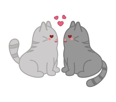 Gri kediler şefkat vektörünü paylaşıyor