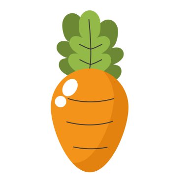 Yeşil yapraklı taze turuncu havuç izole edilmiş vektör çizimi