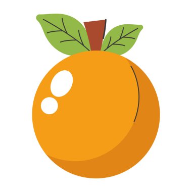 Yeşil yapraklı sulu portakal meyvesi izole edilmiş vektör çizimi