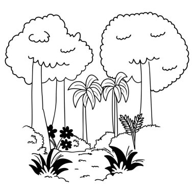 Orman, siyah beyaz tropikal ağaçları ve vahşi yaşamı özetliyor.