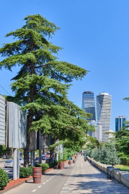 Tiflis, Gürcistan 'da sokak manzarası ve modern mimari. 