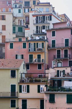 Manarola, Cinque Terre (İtalyan Rivierası, Liguria)