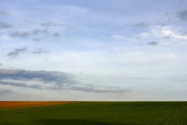Удивительные Плоские Зеленые Ландшафтные Поля Мягкими Облаками Небе — стоковое фото