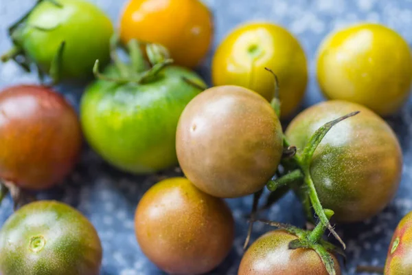 Many Little Unripe Tomatoes Different Colors Detail View — Stock Photo, Image