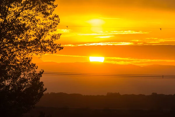Varm Solnedgång Med Moln Träd Och Kraftledningar Naturen — Stockfoto